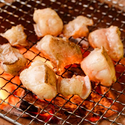 【お歳暮】鹿児島県産黒毛和牛の小腸 ホルモン 300g×2P