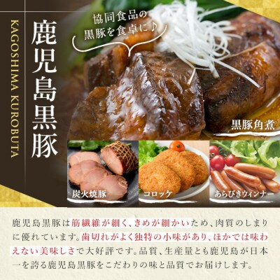 【お歳暮】鹿児島黒豚 4種 セット B-108