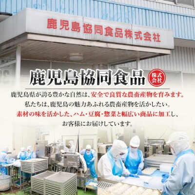 【お歳暮】鹿児島県産 茶美豚 5種 詰合せセット C-32