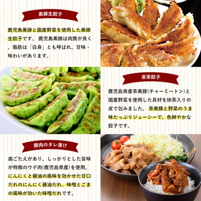 国産 鶏肉・豚肉 使用! 冷凍 惣菜 7種 お試し 詰め合わせ セット