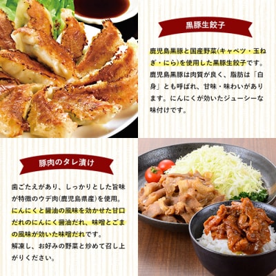 国産 鶏肉 豚肉 使用 冷凍 惣菜 5種セット (チキンナゲット・焼売・餃子・たれ漬け豚肉2種)