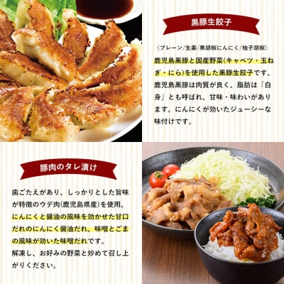 国産 豚肉 使用! 2種のたれ漬け豚肉と4種の黒豚生餃子 食べ比べ 惣菜 セット