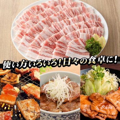 【3か月定期便】鹿児島県産 豚肉 豚バラ 300g×6P×3回 (生姜焼き・豚丼・焼肉におすすめ)
