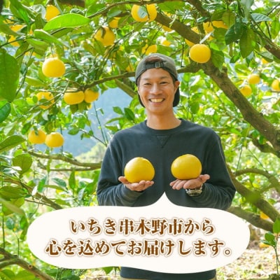 ≪先行予約・数量限定≫鹿児島県産 不知火 3kg箱バラ詰め (磯部農園)