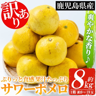 【訳あり 先行予約】3月頃から発送開始 サワーポメロ 8kg 箱 大橘 文旦