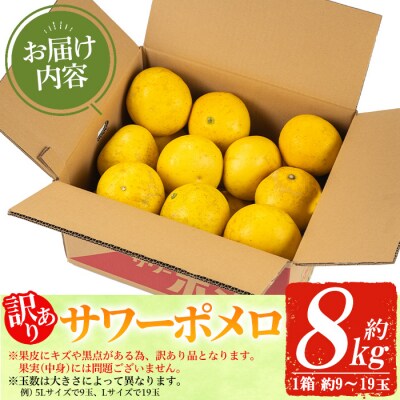 【訳あり 先行予約】3月頃から発送開始 サワーポメロ 8kg 箱 大橘 文旦