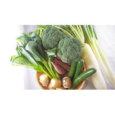 新鮮朝採れ野菜・果物 お手ごろセット MS-01