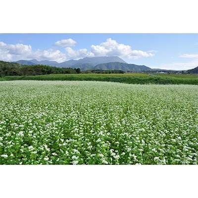 こだわりの大山そば(生麺)(8食入り) MS-51