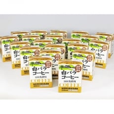 鳥取県民みんな大好き!白バラコーヒーブリック(22個入)　WR-02　 | ふるさと納税のお礼品