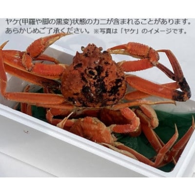 【11月中旬以降順次発送】【年内発送】[冷凍]訳あり松葉ガニ約3kg詰め合わせ　OM-14-1　
