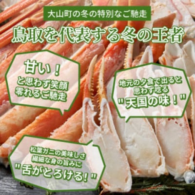 【2024年1月以降順次発送】[冷凍]訳あり松葉ガニ約3kg詰め合わせ　OM-14-2