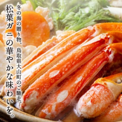 【11月中旬以降順次発送】ボイル松葉ガニ(400～500gを2枚)　OM-19-1