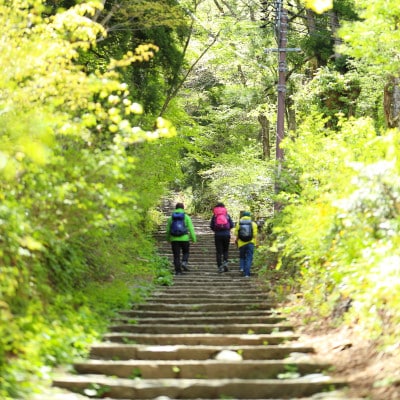 鳥取県大山町　大山ブナの森ウォーク(ガイドツアーペア引換券)