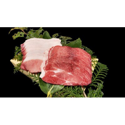 大山町 天然猪肉 ロース スライス 500g(250g×2パック)