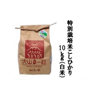特別栽培米こしひかり10kg(白米)