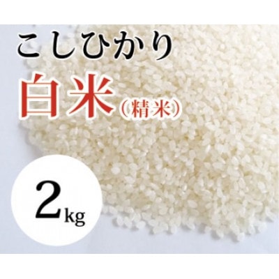 大山町産こしひかり【大山の一粒】(白米) 2kg (令和6年産)