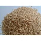 大山町産こしひかり【大山の一粒】(玄米) 2kg (令和6年産)