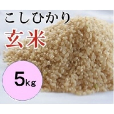大山町産こしひかり【大山の一粒】(玄米) 5kg (令和6年産)