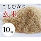 大山町産こしひかり【大山の一粒】(玄米) 10kg (令和6年産)