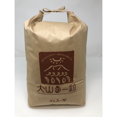 大山町産こしひかり【大山の一粒】(玄米) 10kg (令和6年産)