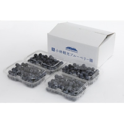 だいせんのめぐみ摘みたてブルーベリー　250g×4パック