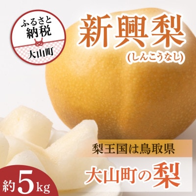 新興梨 5kg 鳥取県(大山町)の梨 大玉で濃厚な甘さが特徴 10月食べごろの人気のなし