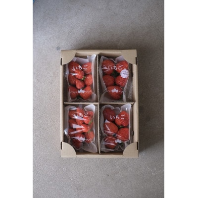 【希少品種・鳥取県限定ブランド】とっておき苺(約200g×4パック)