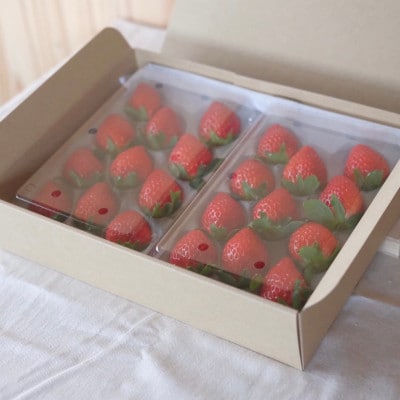 【希少品種・鳥取県限定ブランド】とっておき苺(約500g)