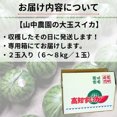 山中農園のスイカ　2玉　103002
