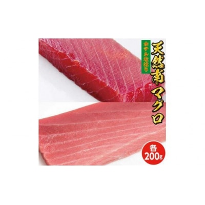 天然南マグロ　中トロ200g赤身200g　104007