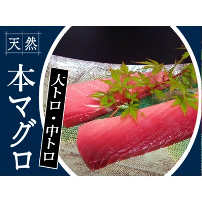 本鮪　大トロ180g中トロ200g　104005