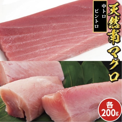天然南マグロ中トロ200g、ビントロ200g　104012