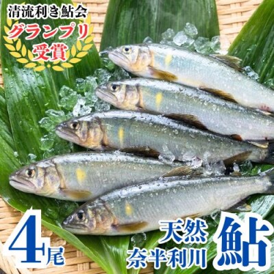 奈半利川の友釣り天然アユ(冷凍)4尾　107001