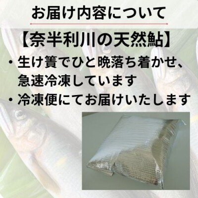 奈半利川の友釣り天然アユ(冷凍)4尾　107001