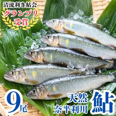 奈半利川の友釣り天然アユ(冷凍)9尾　107002