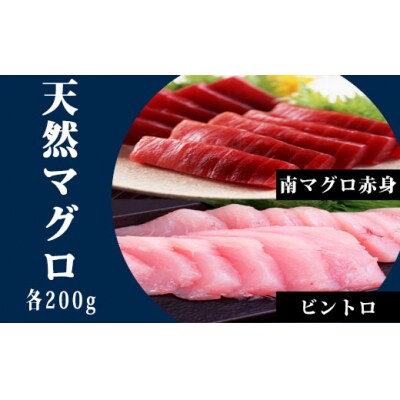 天然南マグロ赤身200g、ビントロ200g　104011