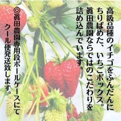 高級品種4色いちごBOX　110001