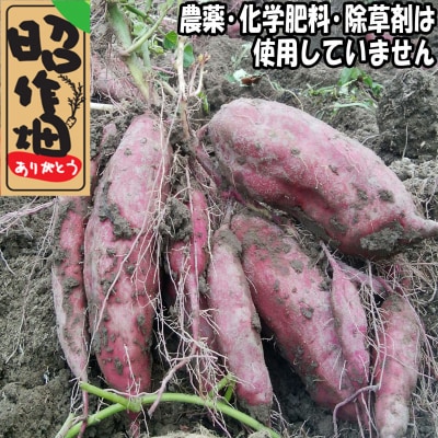さつまいも食べ比べセット5kg　106005
