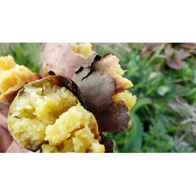 さつまいも食べ比べセット5kg　106005