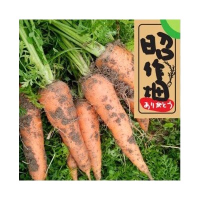 土付きにんじん　2kg　106006