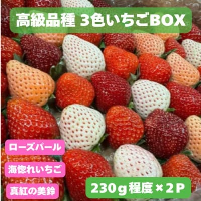 高級品種3色いちごBOX　110003