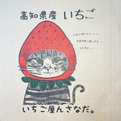 高級品種3色いちごBOX　110003