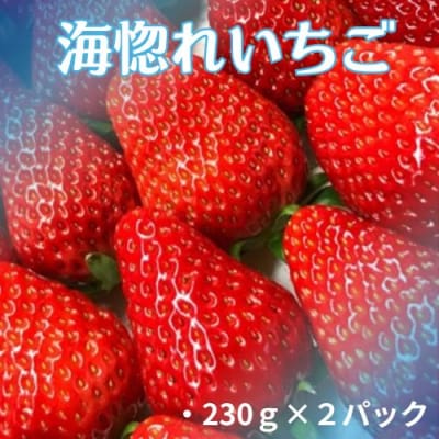 海惚れいちご　2パック　110004