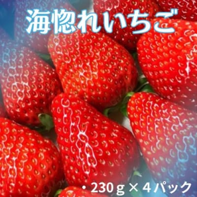 海惚れいちご　4パック　110005