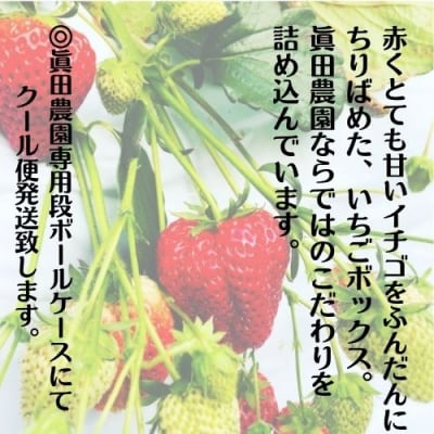 海惚れいちご　4パック　110005