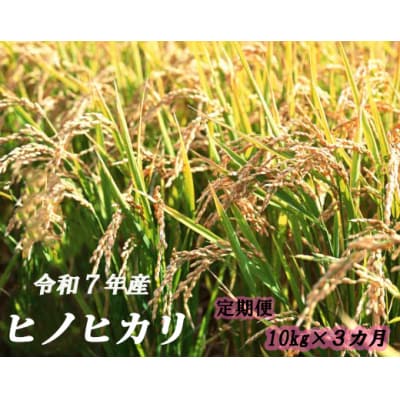 ヒノヒカリ定期便　10kg×3か月連続発送 120901