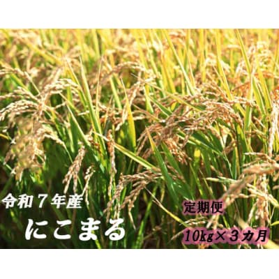にこまる定期便　10kg×3か月連続発送 120904
