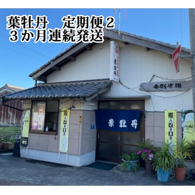 葉牡丹 定期便2 119904