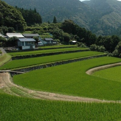 【応援寄附金】高知県奈半利町 1口 1000円 返礼品なしのご寄附【奈半利町役場】999999-1