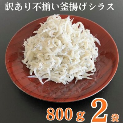 訳あり不揃い釜揚げシラス800g袋入×2ヶ　計1.6kg　114027